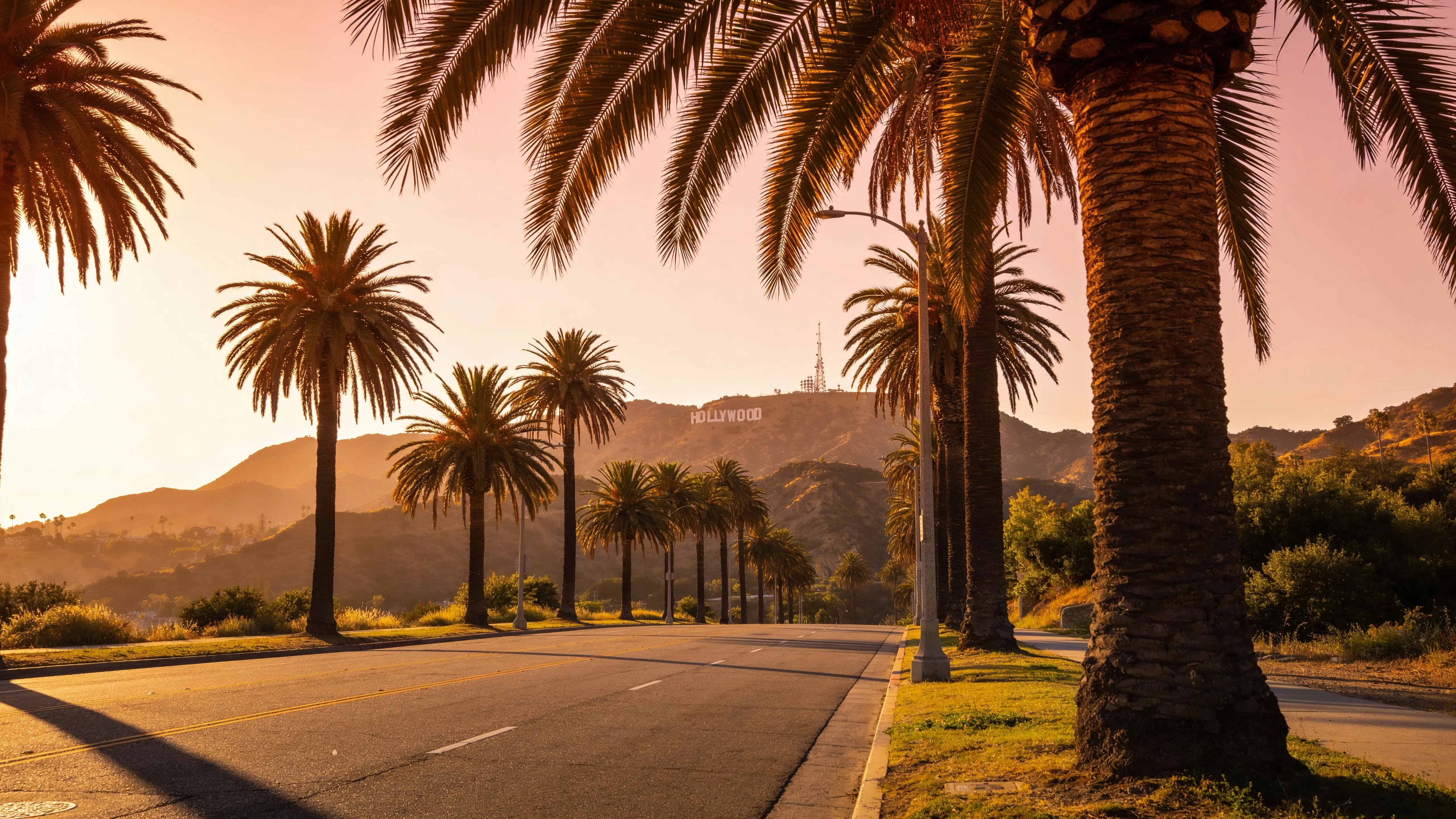 LA palm-lined boulevard